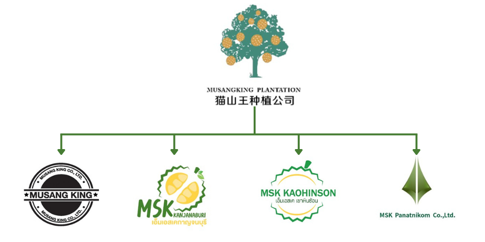 musangking plantation company chart