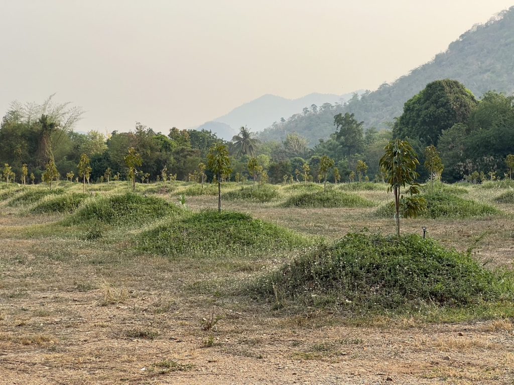 kanchanaburi 275 rai