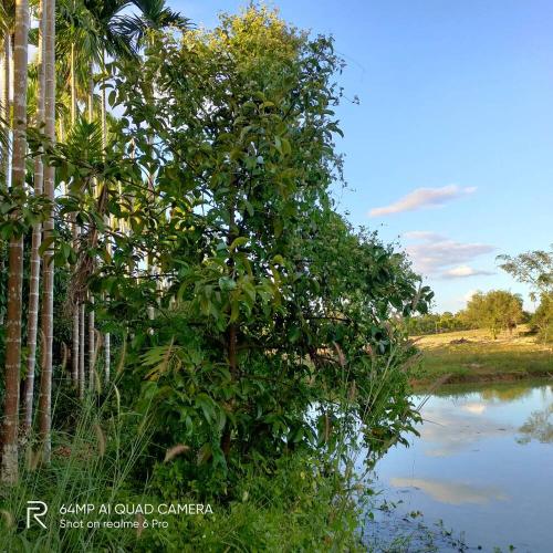 Trat, Kao Saming 111 rai 2020