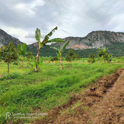 Sakaew, Khlong Hat 42 rai 2021