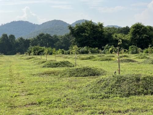 Kanchanaburi, Wang Dong 275 Rai 2023