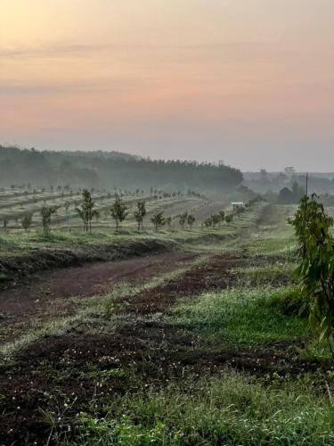 Trat, Kao Saming 111 rai 2022