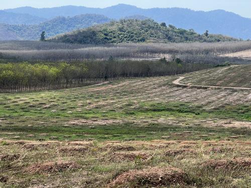 Chachoengsao, Tha Ta Kieab Phase 3 200 rai 2023