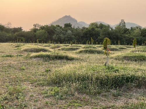 kanchanaburi 275 rai